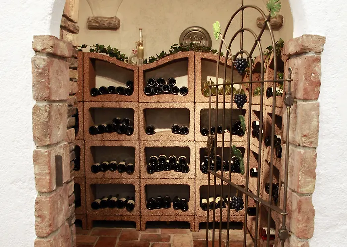 Hotel Alpenhotel Seiler Kühtai