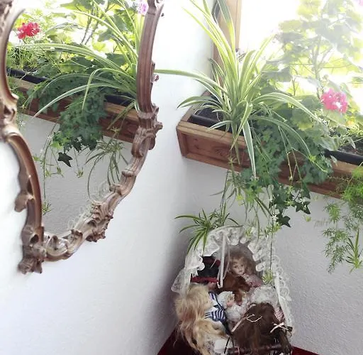 Hotel Alpenhotel Seiler 3*